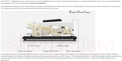 Цифровое фортепиано Kawai KDP75 Embossed Black