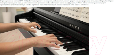 Цифровое фортепиано Kawai KDP75 Embossed Black