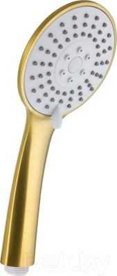 Лейка ручного душа Armatura Moza 842-065-31 - фото