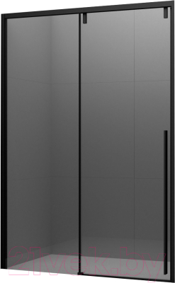 Душевая дверь Ambassador Intense 130x200 / 110022202IBB - фото