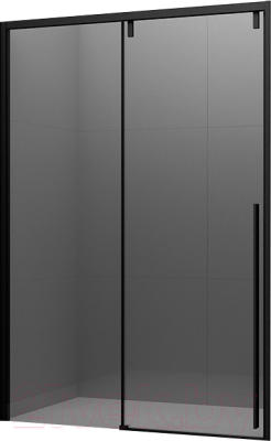 Душевая дверь Ambassador Intense 150x200 / 110022204IBB - фото