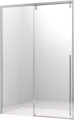 Душевая дверь Ambassador Intense 120x200 / 110021101IX - фото