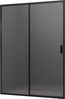 Душевая дверь Ambassador Forsa 100x200 / 17022216ABB - фото