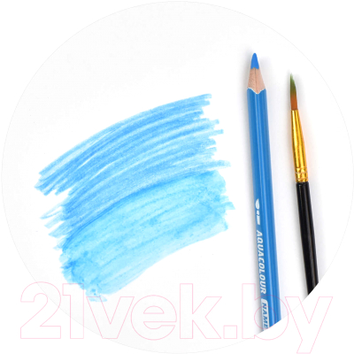 Набор акварельных карандашей Феникс+ Морской конек / 58587