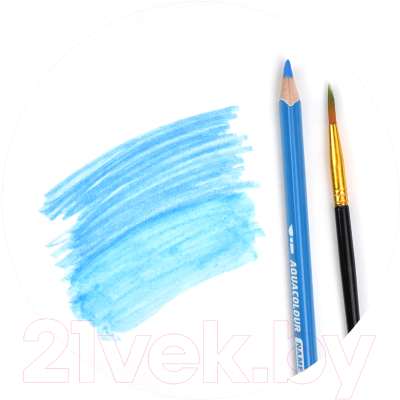 Набор акварельных карандашей Феникс+ Счастливый скат / 58588