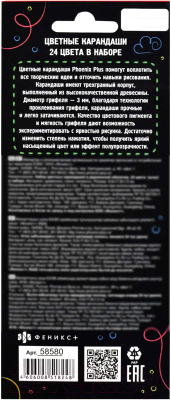 Набор цветных карандашей Феникс+ Такса на самокате / 58580