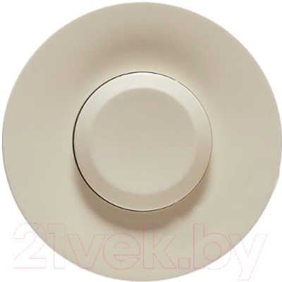 Лицевая панель для выключателя Legrand Celiane 66208 - фото