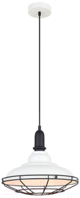 Потолочный светильник Lussole Loft LSP-9848 - фото