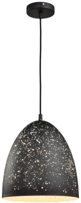 Потолочный светильник Lussole Loft LSP-9892 - фото