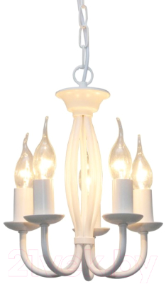 Люстра Lussole Anson LSP-9912 - фото