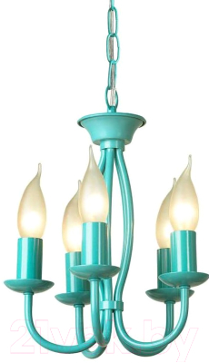 Люстра Lussole Anson LSP-9914