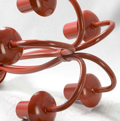 Люстра Lussole Anson LSP-9915