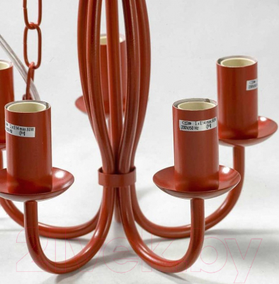 Люстра Lussole Anson LSP-9915