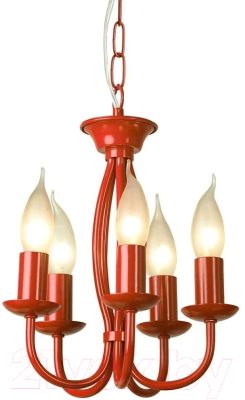 Люстра Lussole Anson LSP-9915