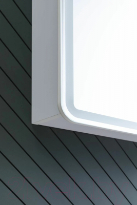 Шкаф с зеркалом для ванной Aquanet Оптима 60 / 311860