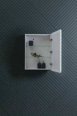 Шкаф с зеркалом для ванной Aquanet Оптима 60 / 311860