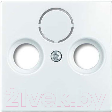 Лицевая панель ABB Basic 55 1724-0-4283 - фото