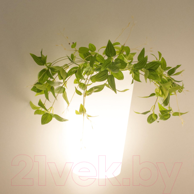 Бра уличное Mantra Teja 6508