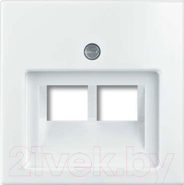 Лицевая панель для розетки ABB Basic 55 1753-0-0095 - фото