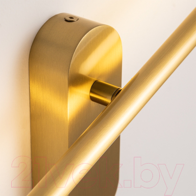 Подсветка для картин и зеркал Arte Lamp Prima A2028AP-1PB