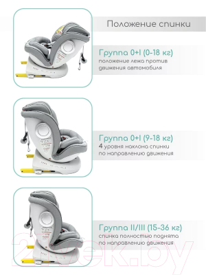 Автокресло Amarobaby Champion Isofix / AMARO-2008CH-Se (серый)