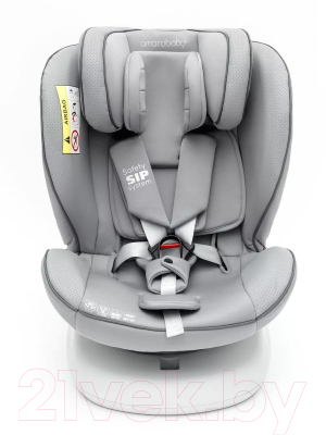 Автокресло Amarobaby Champion Isofix / AMARO-2008CH-Se (серый)