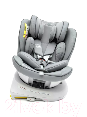 Автокресло Amarobaby Champion Isofix / AMARO-2008CH-Se (серый)
