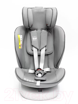 Автокресло Amarobaby Champion Isofix / AMARO-2008CH-Se (серый)