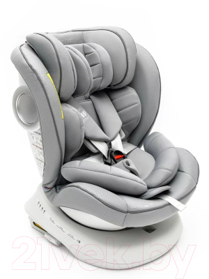 Автокресло Amarobaby Champion Isofix / AMARO-2008CH-Se (серый)
