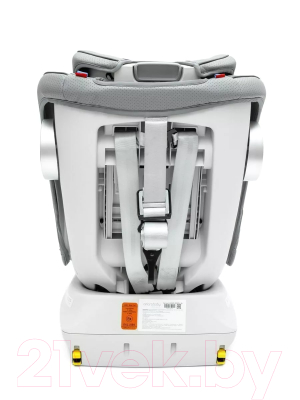 Автокресло Amarobaby Champion Isofix / AMARO-2008CH-Se (серый)