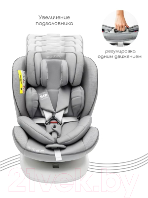 Автокресло Amarobaby Champion Isofix / AMARO-2008CH-Se (серый)
