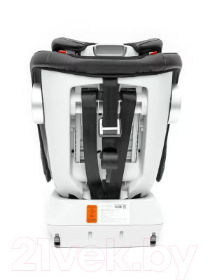 Автокресло Amarobaby Champion Isofix / AMARO-2008CH-Ch (черный)