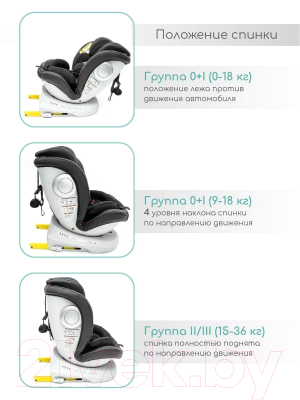 Автокресло Amarobaby Champion Isofix / AMARO-2008CH-Ch (черный)