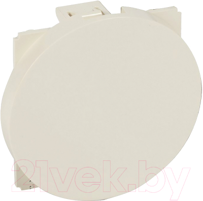 Декоративная заглушка для розетки Legrand Celiane 66226 - фото