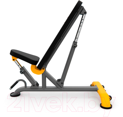 Скамья многофункциональная Stonerise DS01