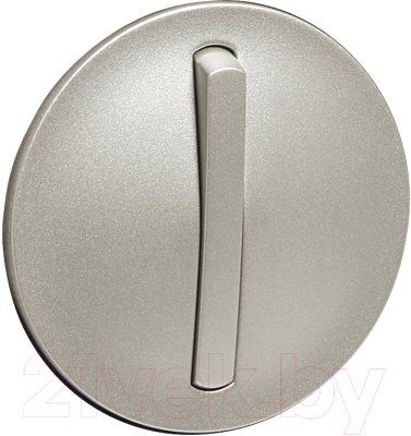 Лицевая панель для выключателя Legrand Celiane 65101 - фото