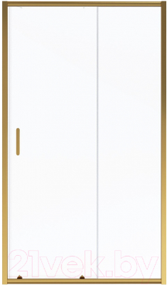 Душевая дверь Niagara NG-42-12AG 120x195 - фото