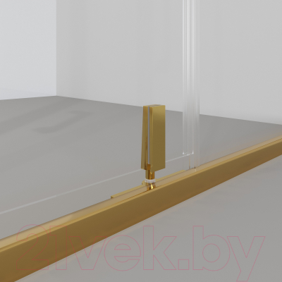 Душевая дверь Niagara NG-43-10AG 100x190