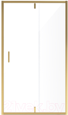 Душевая дверь Niagara NG-43-11AG 110x190 - фото