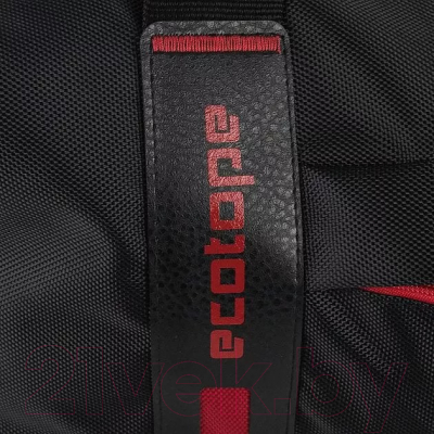 Сумка дорожная Ecotope 018-C1420/1-BLK