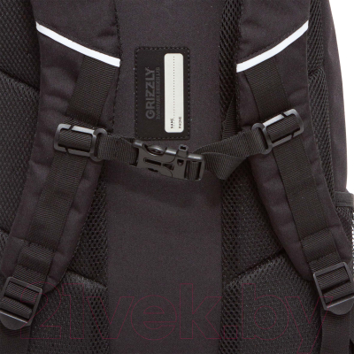 Рюкзак Grizzly RU-330-2