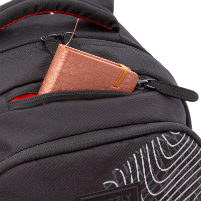 Рюкзак Grizzly RU-330-2