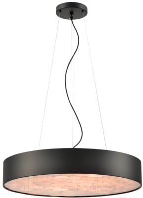 Потолочный светильник Wertmark Edera WE510.01.723 - фото