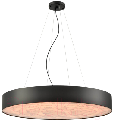 Потолочный светильник Wertmark Edera WE510.02.723 - фото