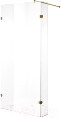 Душевая стенка Niagara NG-642-11 110x195 - фото