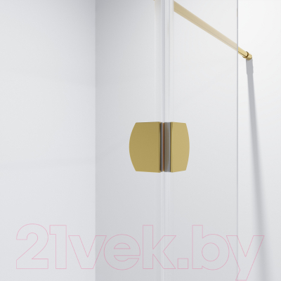 Душевая стенка Niagara NG-642-11 110x195