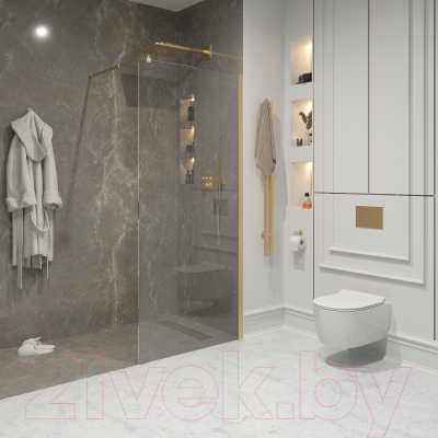 Душевая стенка Niagara NG-643-11 110x195