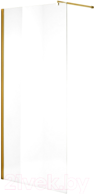 Душевая стенка Niagara NG-643-12 120x195 - фото