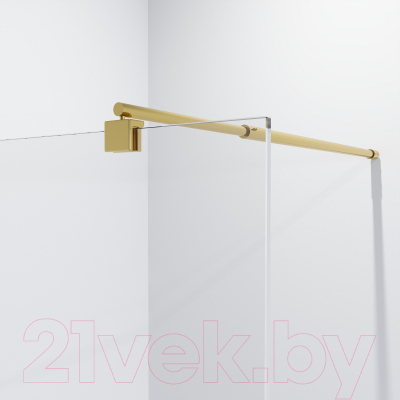 Душевая стенка Niagara NG-643-12 120x195