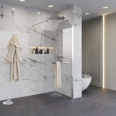 Душевая стенка Niagara NG-661-10 100x195